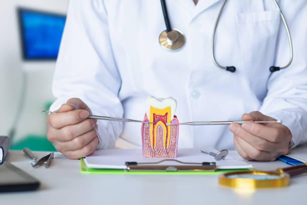 Best Broken or Chipped Tooth Repair in Mec, CA